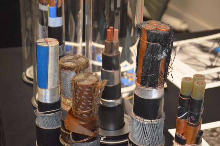 2013-gallery - DSC_1000.jpg