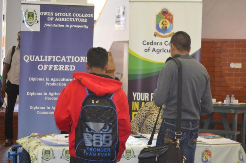 2014-gallery - DSC_1790.jpg