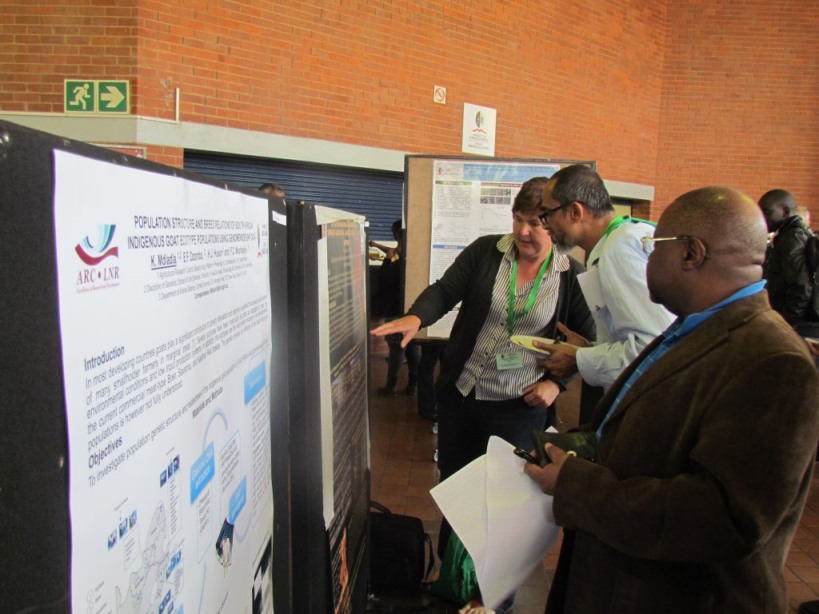 2014-gallery - IMG_5397.jpg