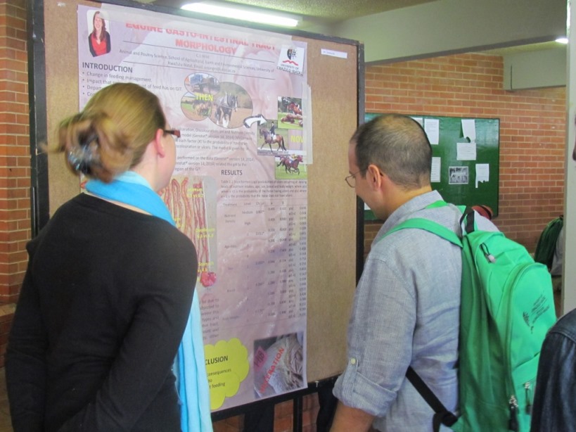 2014-gallery - IMG_5453.jpg